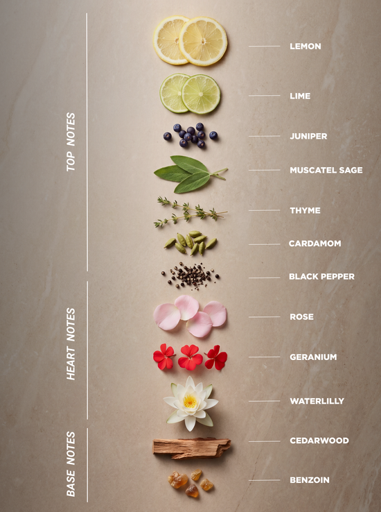 RECHARGE ME - Eau de Parfum