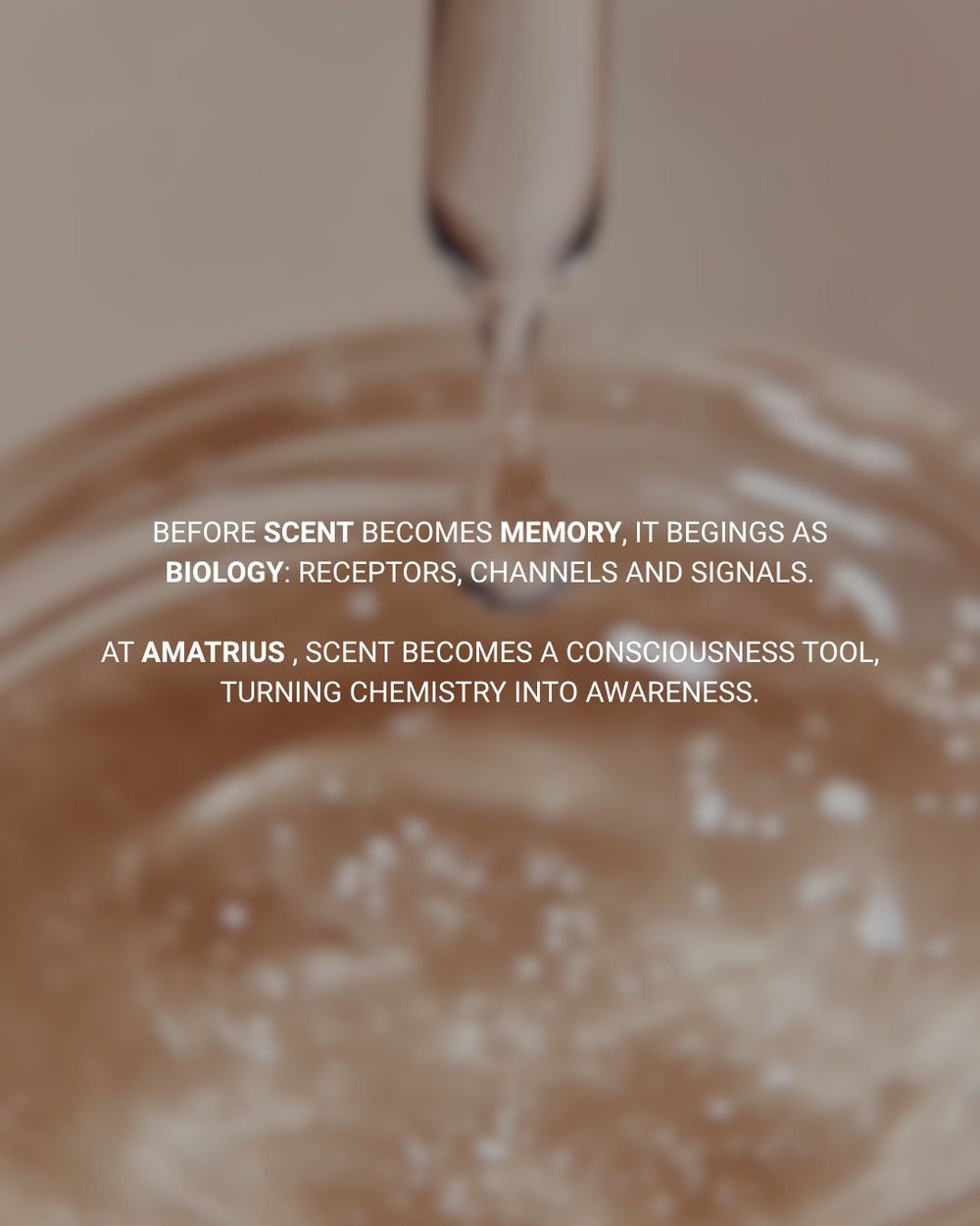 Fragrances affect emotions, but their first language is biological: receptors, channels, ions and signals.