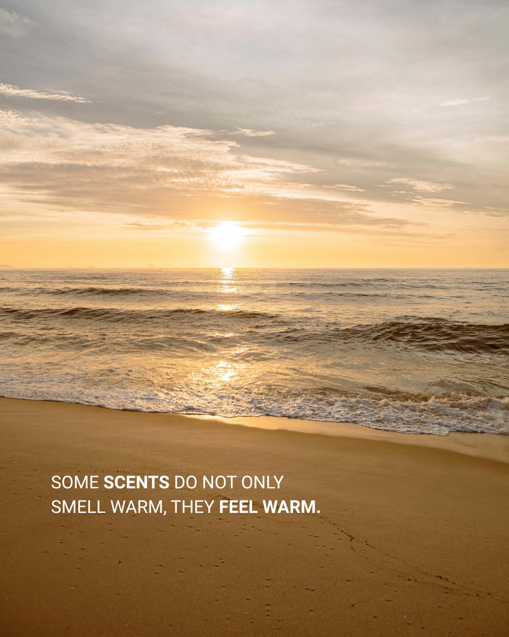 Some scents do not only smell warm, they feel warm.