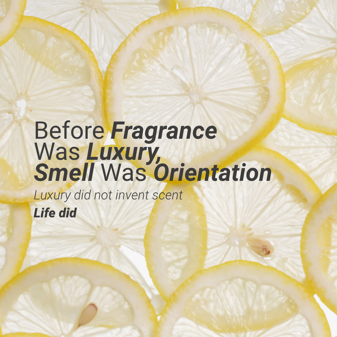 The Ancient Language of Scent