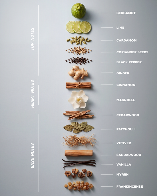 UNPLUG ME - Eau de Parfum