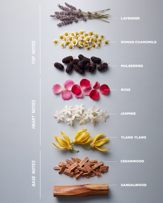 LOVE ME - Eau de Parfum