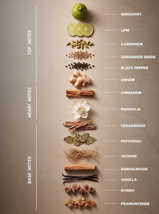 UNPLUG ME - Eau de Parfum