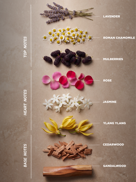 LOVE ME - Eau de Parfum